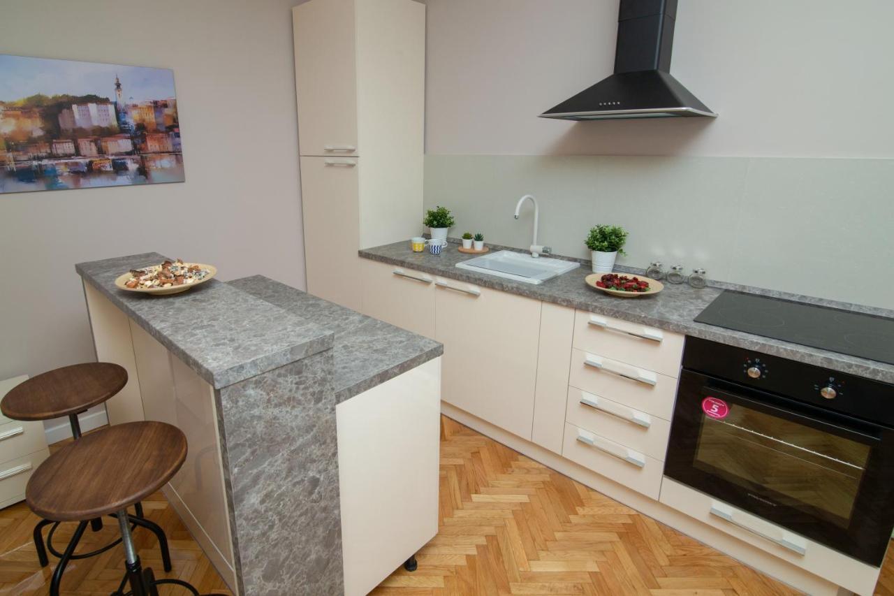 Vracar Vuk 2 Apartment Beograd Bagian luar foto
